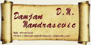 Damjan Mandrašević vizit kartica
